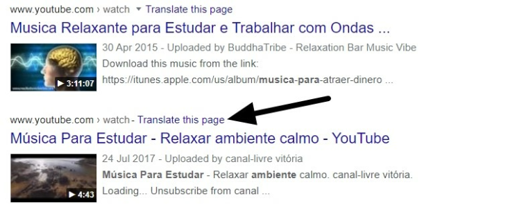 Translated websites